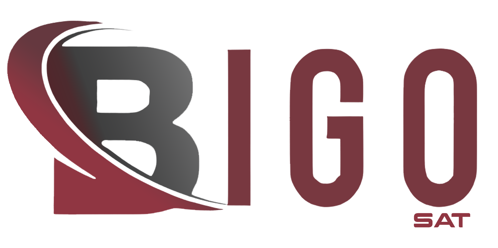 BigoSat Logo